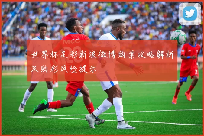 世界杯足彩新浪微博购票攻略解析及购彩风险提示