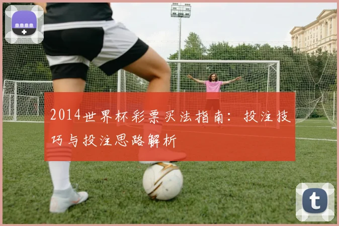 2014世界杯彩票买法指南:投注技巧与投注思路解析